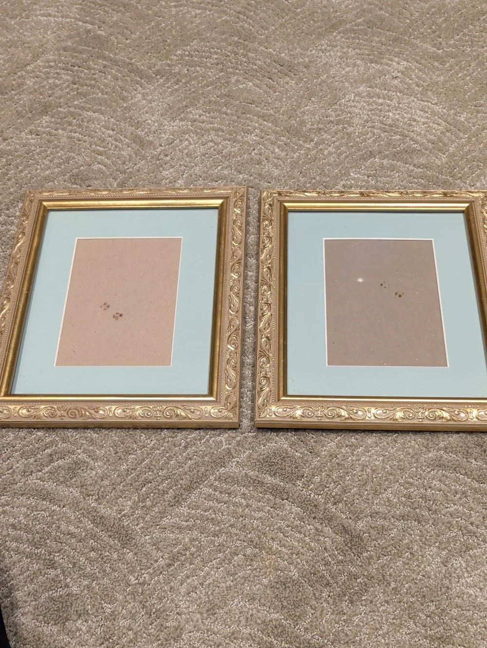 Gold Ornate Picture Frames with Mint Mat - Set of 2